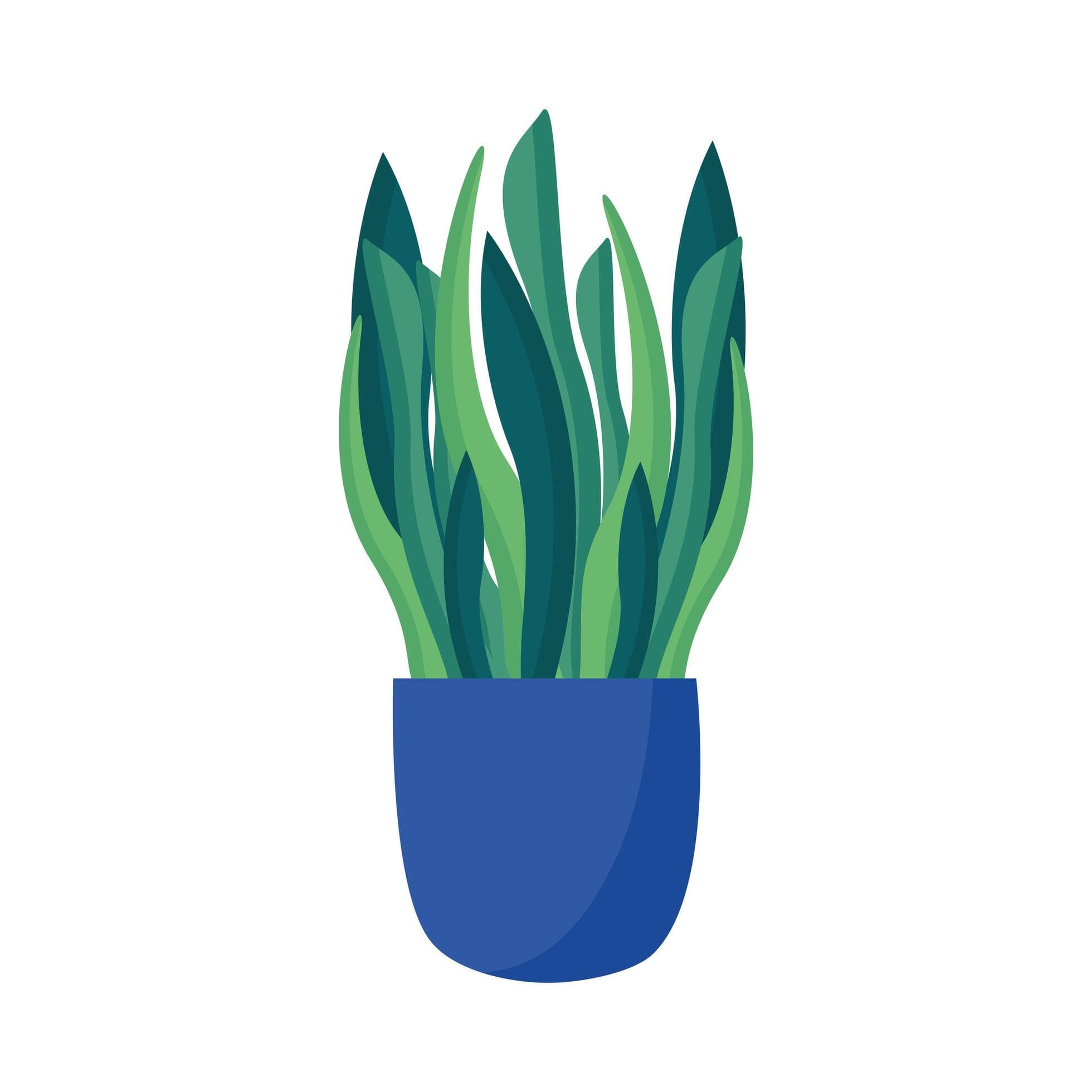 Fresh & Healthy Plants