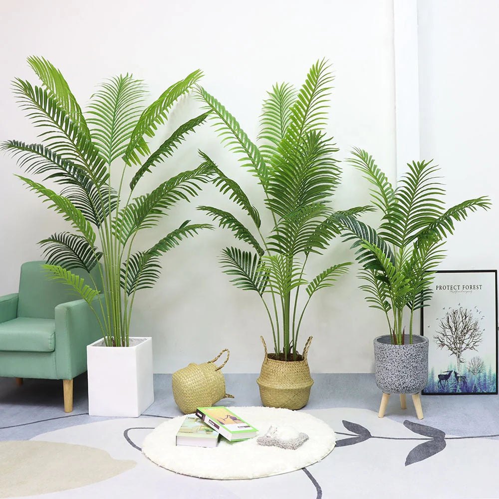 Areca Palm